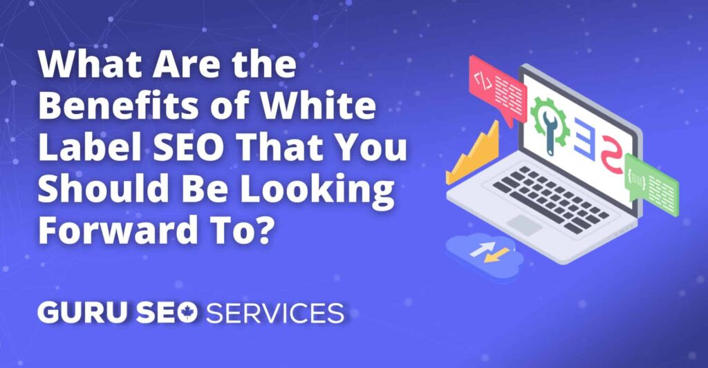 What are the benefits of white label SEO services that you should be looking forward to?